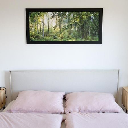 Apartman Na Kamenci Teplice nad Metují المظهر الخارجي الصورة